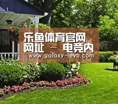 乐鱼体育官网网址 - 电竞内容平台