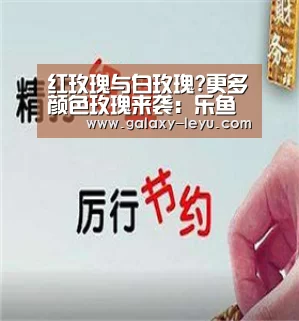 红玫瑰与白玫瑰?更多颜色玫瑰来袭:乐鱼体育(图1) 乐鱼