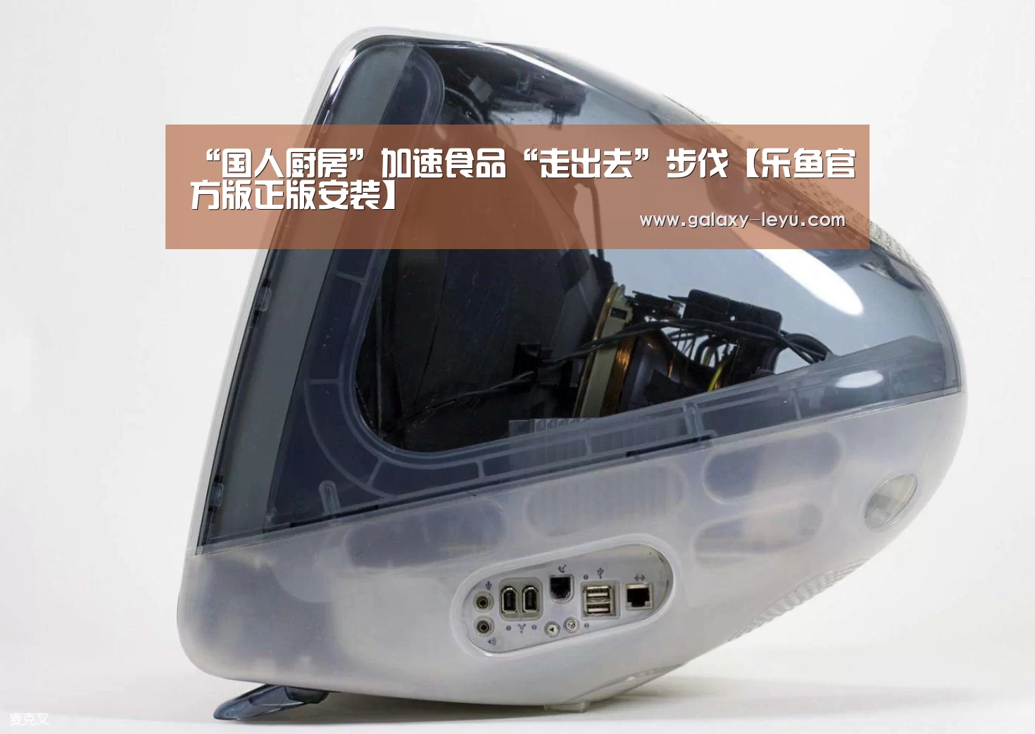 乐鱼