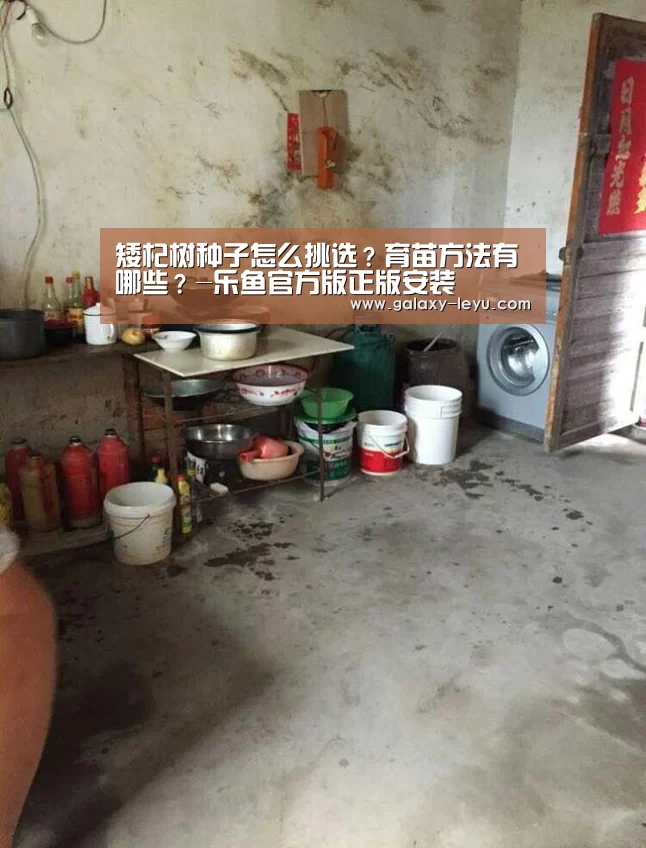 乐鱼官方版正版安装