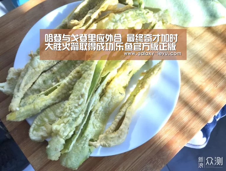 哈登与戈登里应外合 最终奇才加时大胜火箭取得成功|乐鱼官方版正版安装(图2) 乐鱼体育
