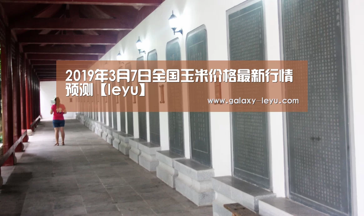 2019年3月7日全国玉米价格最新行情预测【leyu】(图4) 乐鱼体育