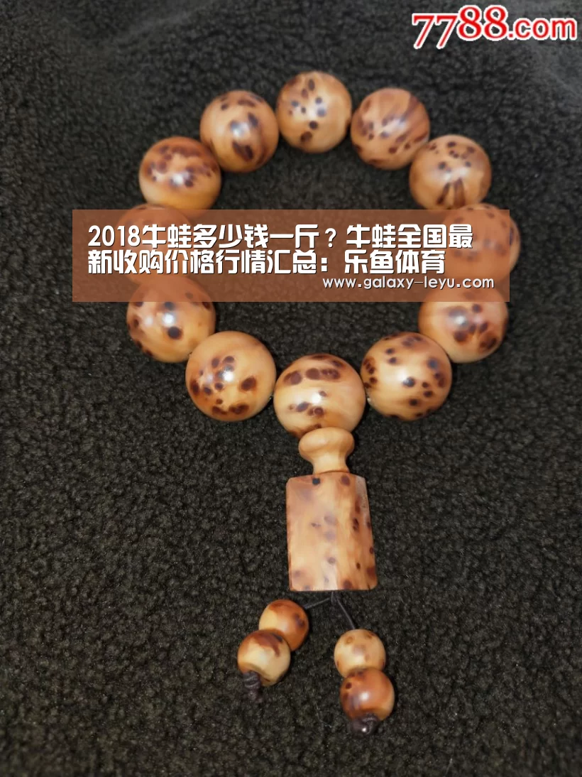 2018牛蛙多少钱一斤?牛蛙全国最新收购价格行情汇总:乐鱼体育(图1) 乐鱼官方版正版安装