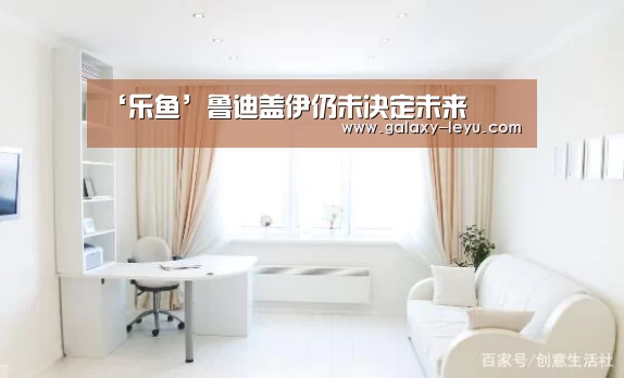 ‘乐鱼’鲁迪盖伊仍未决定未来(图1) 乐鱼