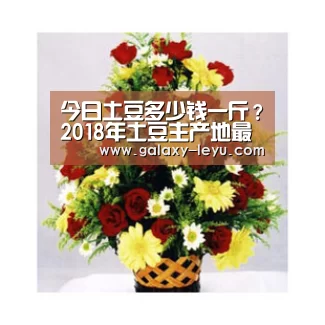 今日土豆多少钱一斤?2018年土豆主产地最新价格行情“leyu”(图4) 今日土豆多少钱一斤?2018年土豆主产地最新价格行情“leyu”(图4)