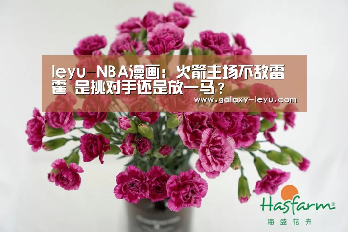 leyu-NBA漫画:火箭主场不敌雷霆 是挑对手还是放一马?(图2) 乐鱼