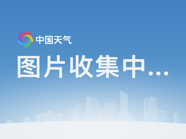 乐鱼官方版正版安装