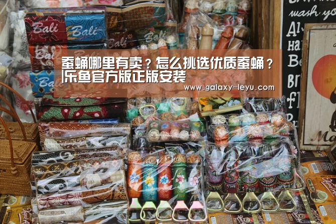 蚕蛹哪里有卖?怎么挑选优质蚕蛹?|乐鱼官方版正版安装(图1) 乐鱼官方版正版安装